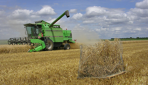 Agriculture et biodiversité